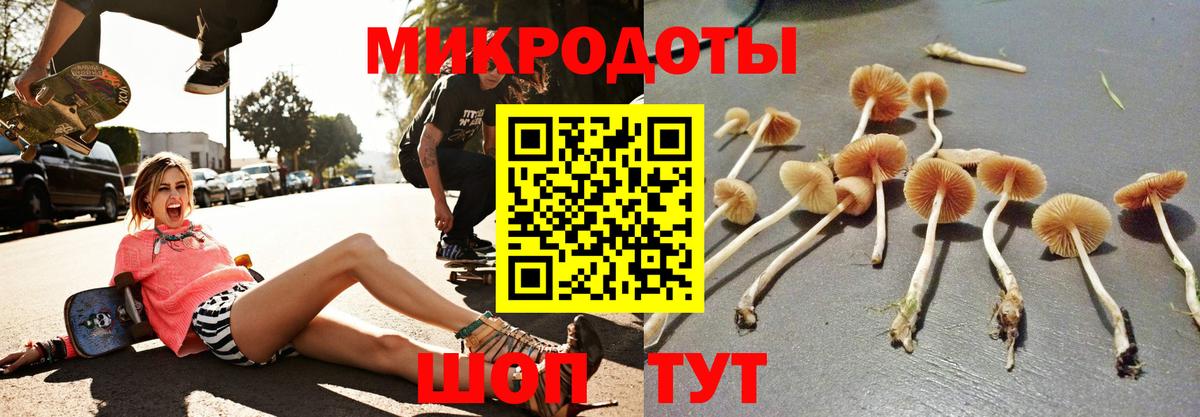 Псилоцибиновые грибы Cubensis Советская Гавань